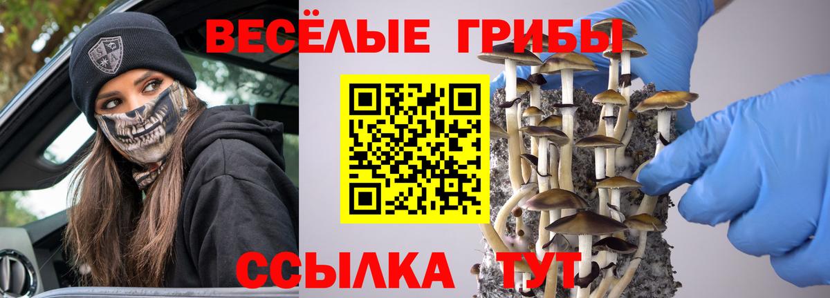 Галлюциногенные грибы Psilocybine cubensis Лысьва