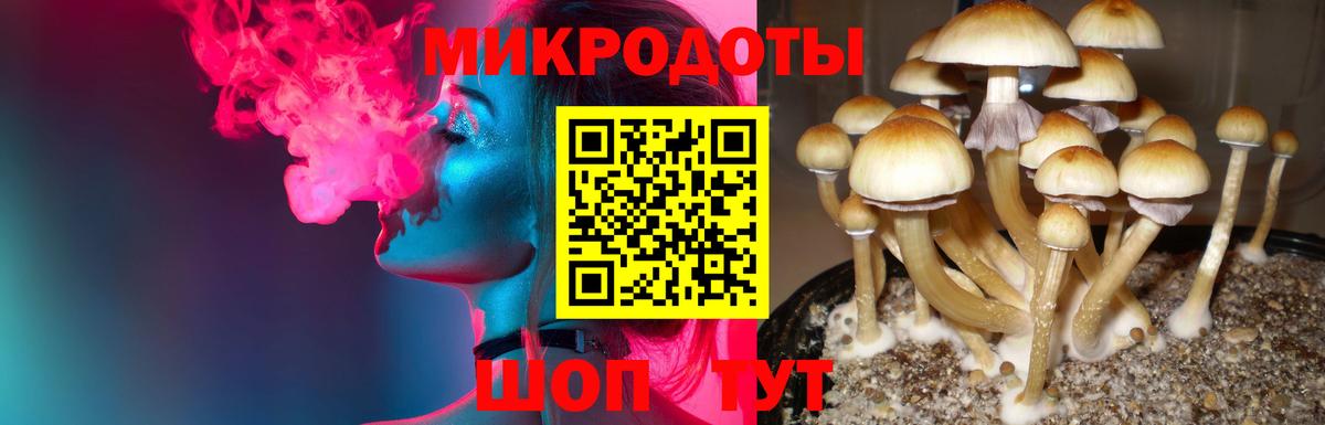 Галлюциногенные грибы мицелий  Вход с VPN  Лысьва 